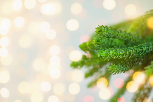 istock Closeup Christmas tree with bokeh light background 1191770471