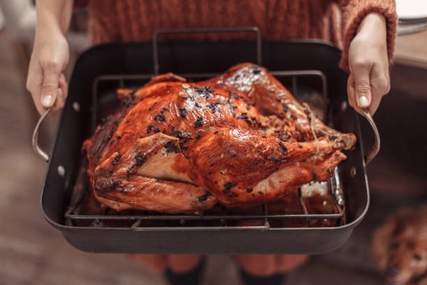istock Thanksgiving dinner straight from the oven 1191770725