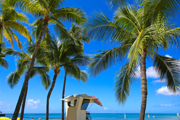Hawaii
