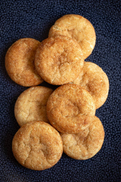 istock Traditional homemade snickerdoodle cookies 1191780239