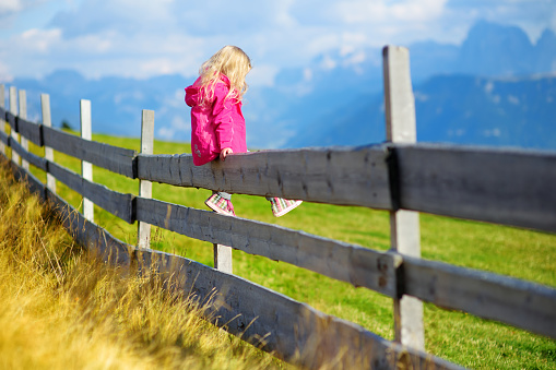 Cute little girl sitting on wooden fence admiring beautiful landscape in Dolomites mountain range, South Tyrol province of Italy