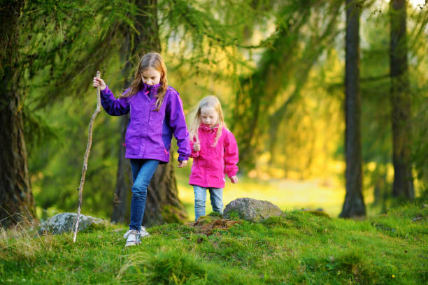 deux petites soeurs drôles ayant l'amusement pendant la randonnée de forêt le beau jour d'automne - footpath european alps fence woods photos et images de collection