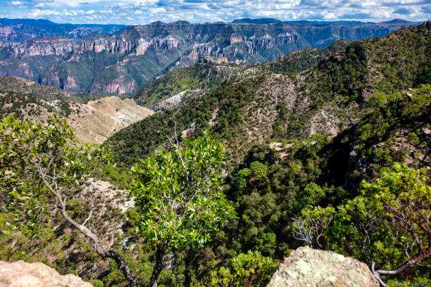istock Copper Canyons, Chihuahua 1191785554