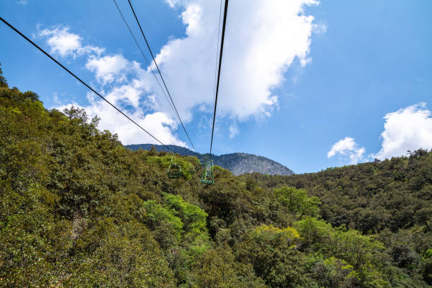 istock Cable cars upwards pine trees 1191793322