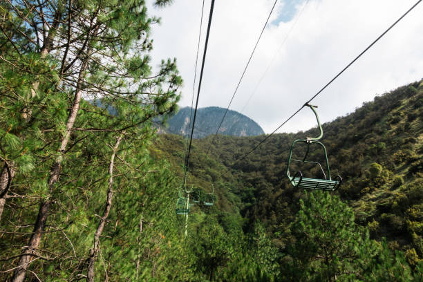 istock Cable cars upwards pine trees 1191793436
