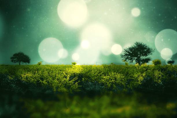 istock Beautiful Nature Landscape 1191795932