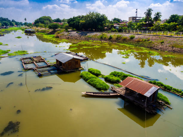 istock Pandan plant floating farm in plant floating on a river. 1191796394