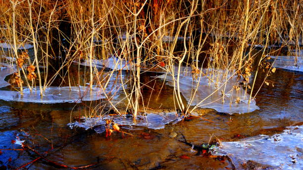 istock Thin ice on the lake in the forest 1191799491