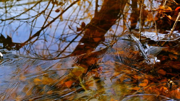 istock Thin ice on the lake in the forest 1191800096