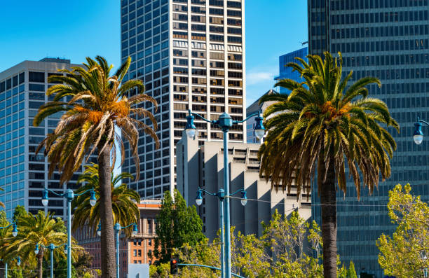 istock Downtown San Francisco skyline buildings 1191801536