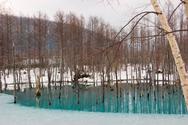 istock Blue pond in winter in Biei 1191805061