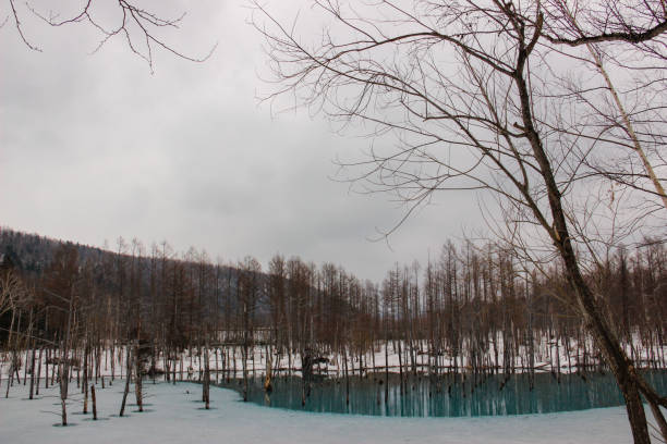 istock Blue pond in winter in Biei 1191805133