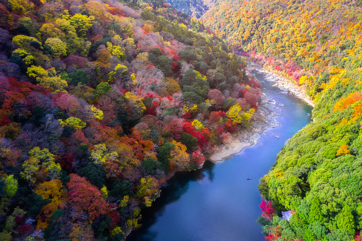 Scenery aerial  top view of season change of autumn blooming in mountain along the river of Arashiyama in Kyoto, Osaka, Japan, popular tourist place for visit Japan