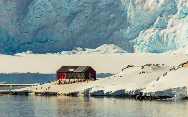 Port Lockroy A beautiful island in the Antarctica peninsula. houses in antarctica stock pictures, royalty-free photos & images