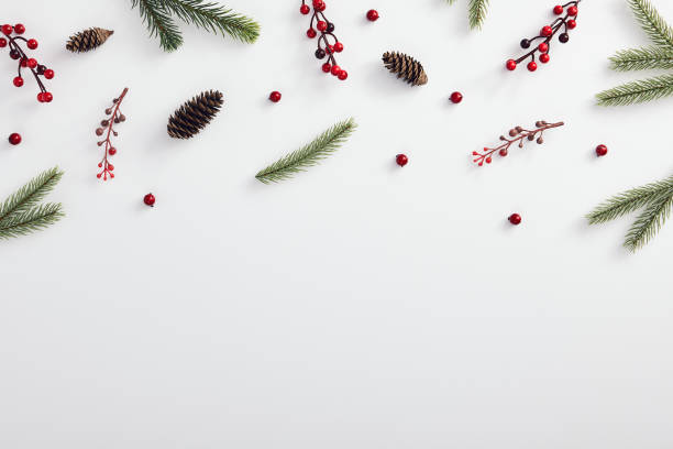 Evergreen tree branch and red berries