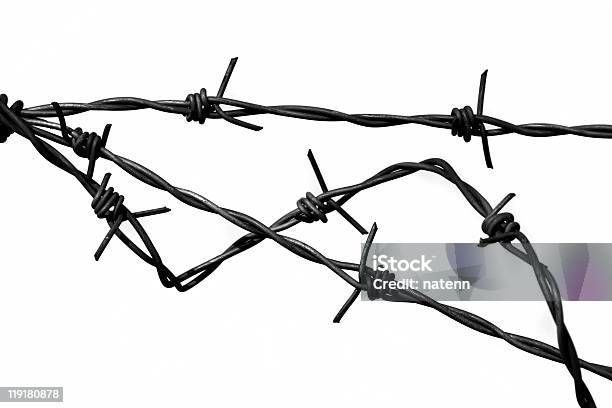 Filo Spinato - Fotografie stock e altre immagini di Auschwitz - Auschwitz, Bianco, Bianco e nero