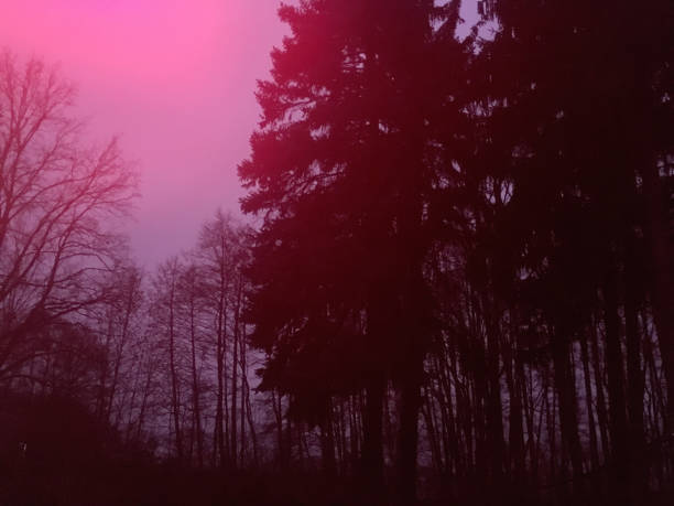 Wood dawn pink