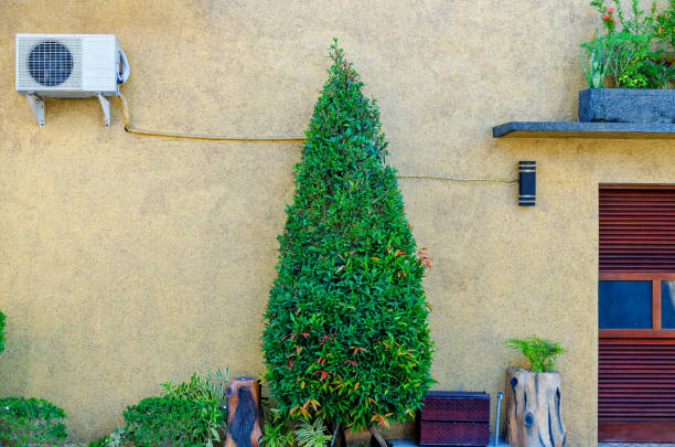 Front view of the wall with green plants and natural elements of decor. Bali