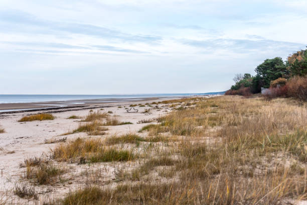 istock Wild Beach on the Baltic Sea in Latvia 1191819596