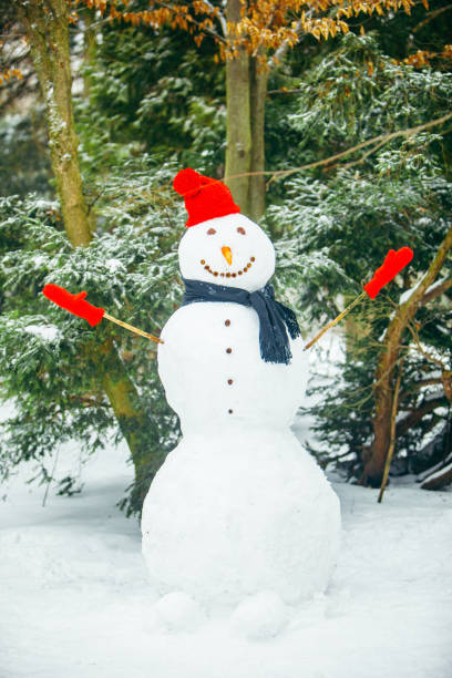 istock smiling snowman in red hat with gloves 1191820825