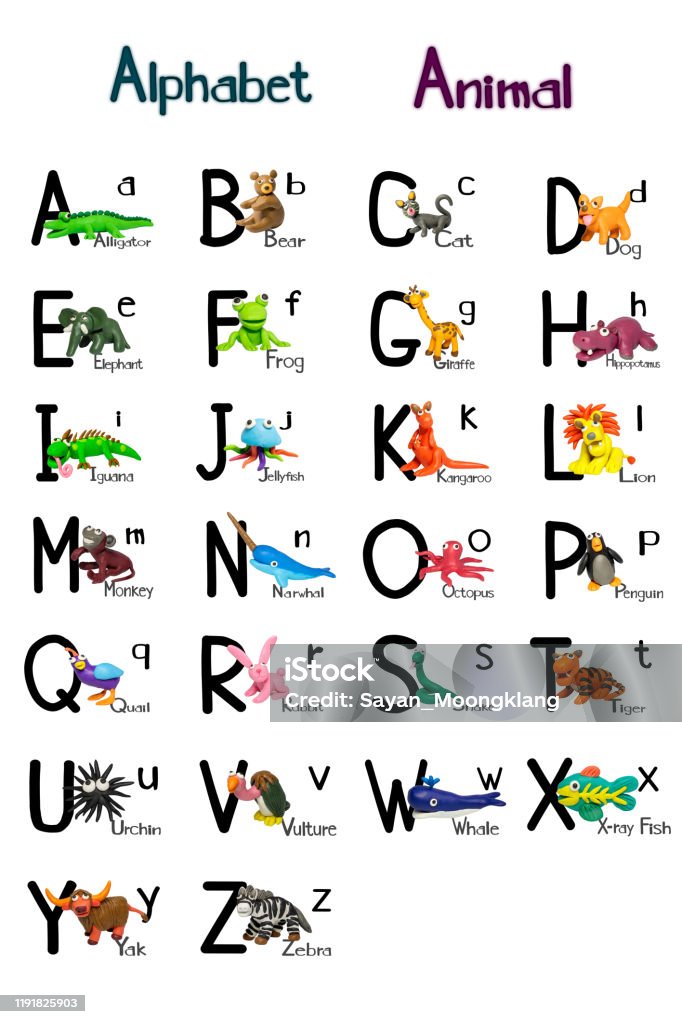 Cartoon Characters Like Wild Animals With English Alphabet Isolated On  White Background Stock Photo - Download Image Now - iStock