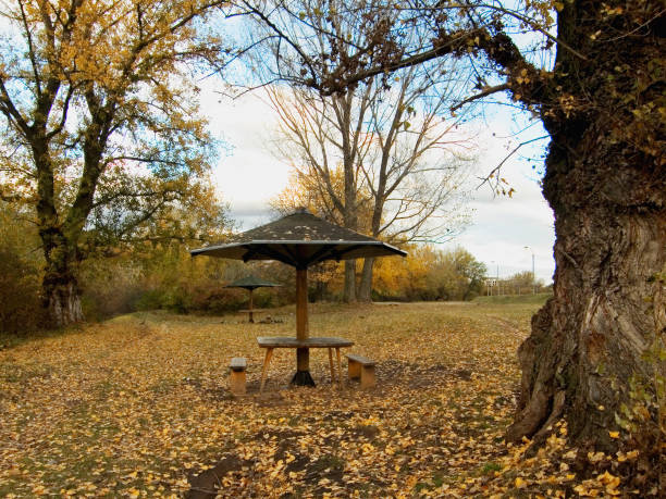 istock Autumn scenes in a public park (Picture No 03) 1191829473