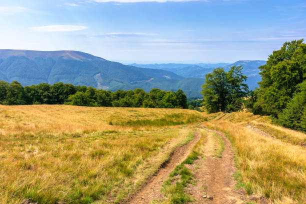 istock mountainous countryside in summertime 1191830572