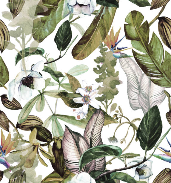 Seamless watercolor pattern with tropical flowers, magnolia, orange flower, vanilla orchid, tropical leaves, banana leaves Seamless watercolor pattern with tropical flowers, magnolia, orange flower, vanilla orchid, tropical leaves, banana leaves vanilla orchid stock illustrations