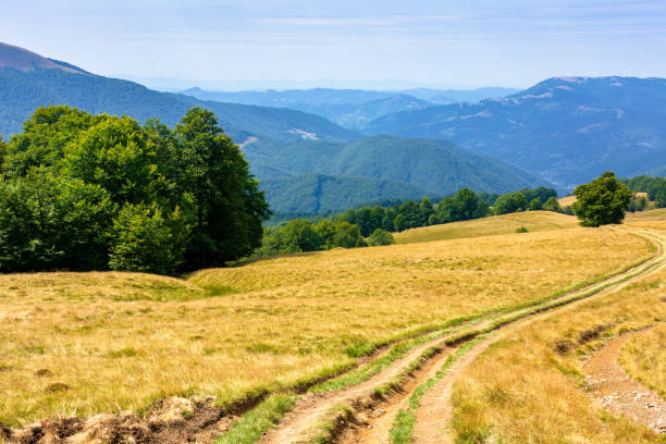istock mountainous countryside in summertime 1191830931