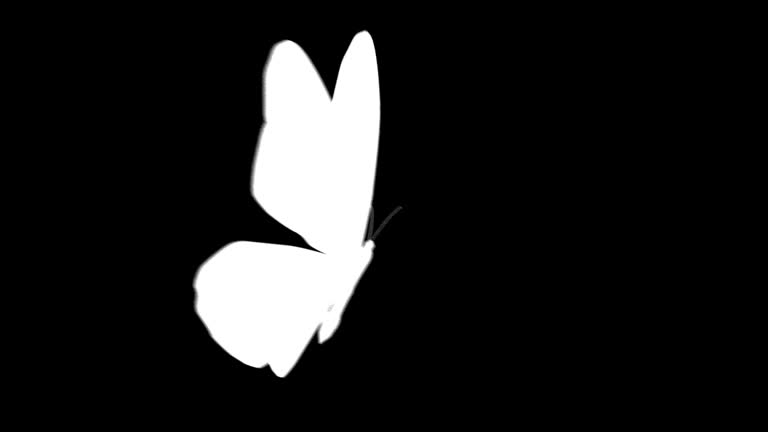 2,090 Butterfly Animation Stock Videos and Royalty-Free Footage - iStock 2,090 Butterfly Animation Stock Videos and Royalty-Free Footage - iStock