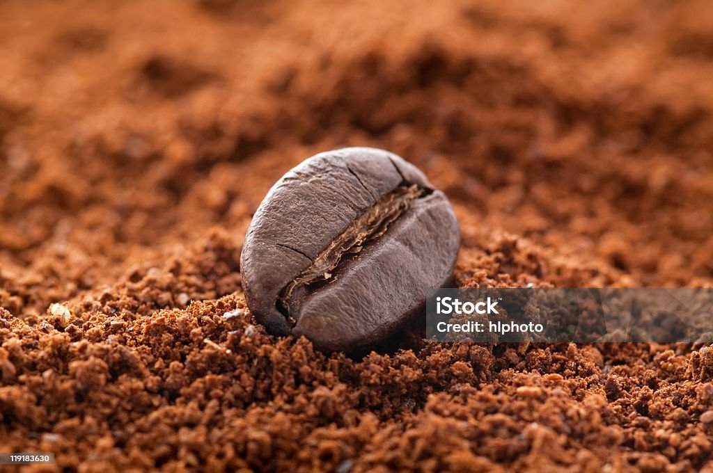 Coffee Bean  Arabica Coffee - Drink Stock Photo