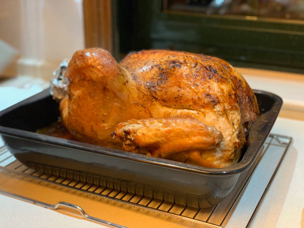 istock Cooking a turkey for Thanksgiving dinner 1191836683
