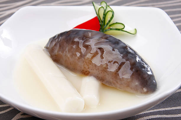sea cucumber