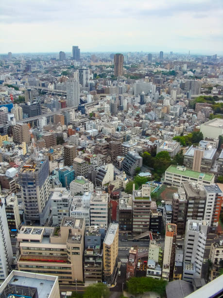 istock Tokyo Aerial Panoramic View 1191838884