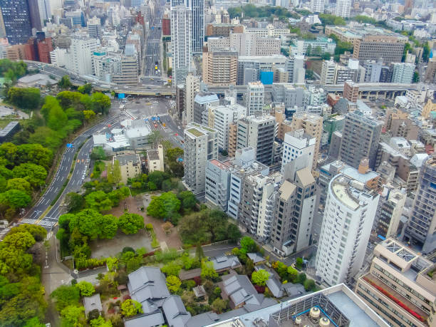 istock Panoramic view of Tokyo, Japan 1191839048