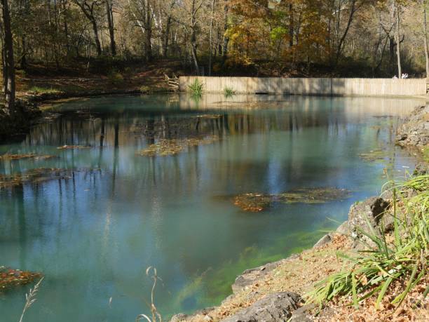 istock Blue spring view, with the colorful trees reflected in the waters in autumn 1191839135