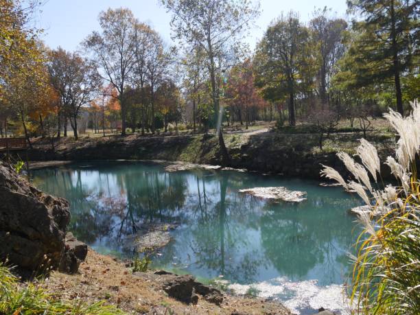 istock Scenic spring view with colorful trees reflected in the waters 1191840339