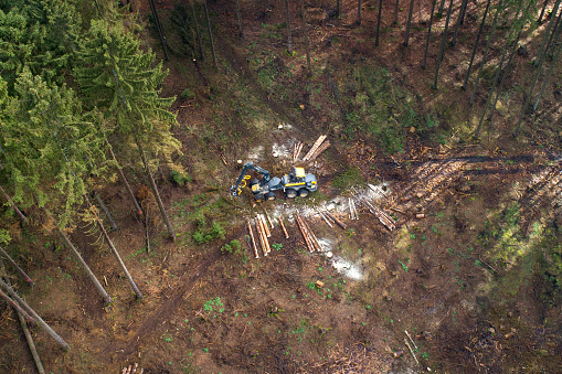 Tree felling works - storm damage, aerial view
