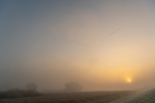 Foggy morning sunrise over the IJsseldelta river landscape at the start of a misty fall day in Overijssel, The Netherlands
