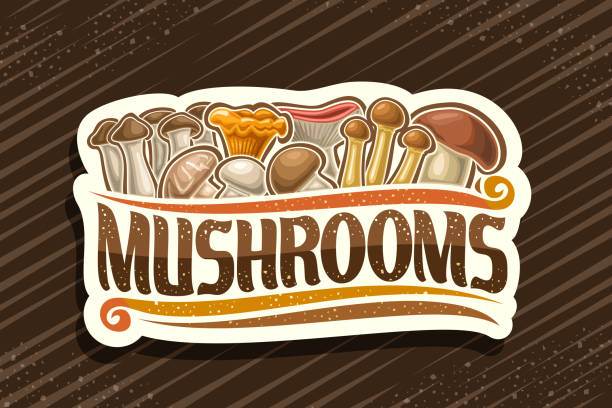 ilustraciones, imágenes clip art, dibujos animados e iconos de stock de etiqueta vectorial para setas comestibles - honey agaric