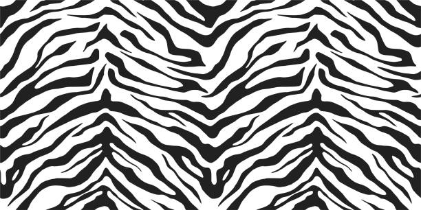 istock Seamless vector animal skin pattern. Zebra tiger stripes background. Black and white wildlife print. For fabric, textile, wrapping, cover, web etc. 10 eps design. 1191844373