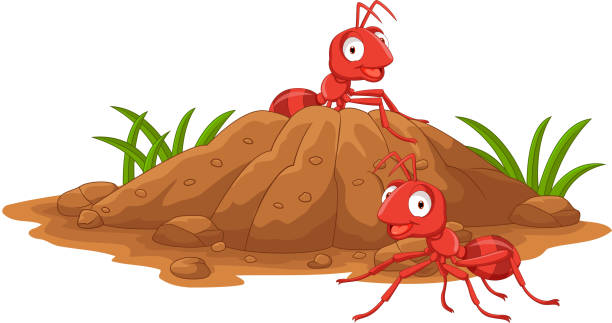 anthill im wald - termite soil stock-grafiken, -clipart, -cartoons und -symbole