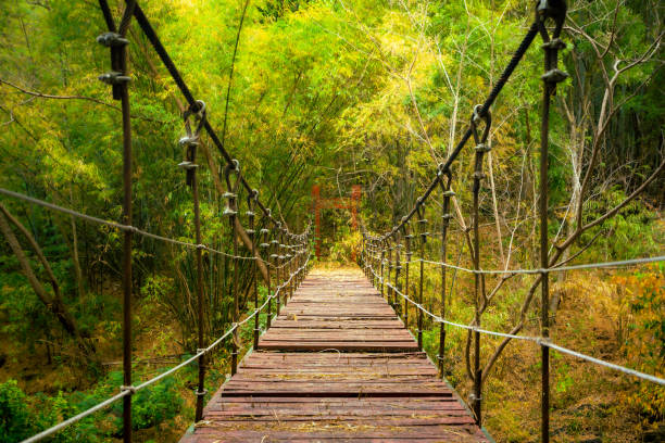istock Cable wooden bridge in the jungle - Urban exploration. 1191845015
