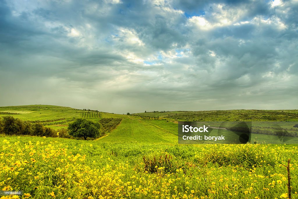 Campo Verde, próximo à cidade de Nazaré, Israel - Foto de stock de Israel royalty-free