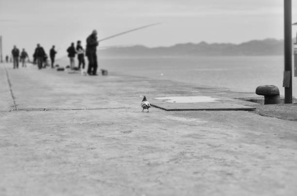 istock fishing black and white photo 1191846617