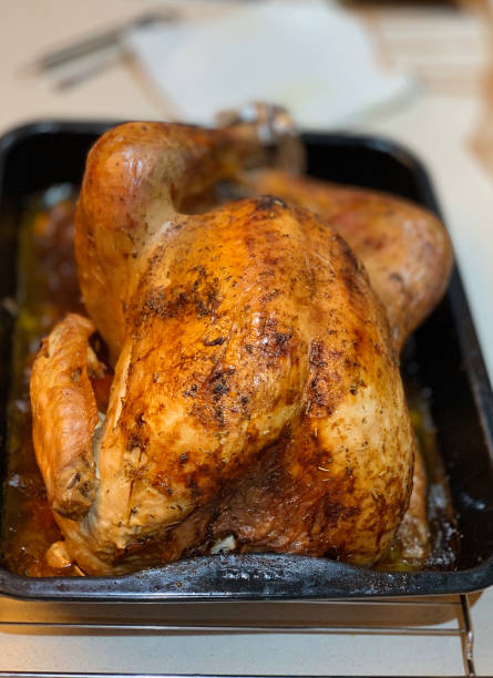 istock Cooking a turkey for Thanksgiving dinner 1191846811