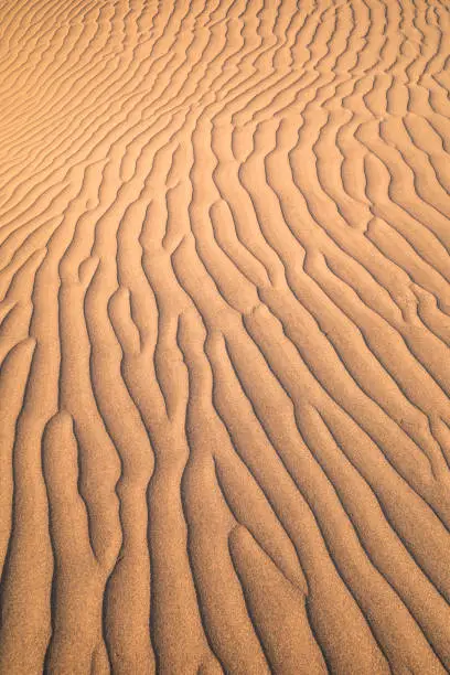 Photo of ripples in the sand