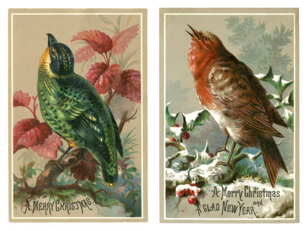 ilustraciones, imágenes clip art, dibujos animados e iconos de stock de dos tarjetas victorianas de navidad con pájaros, 1878 - english heritage illustrations