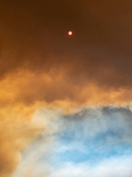 currowan bushfire 2019 - ulladulla fotografías e imágenes de stock