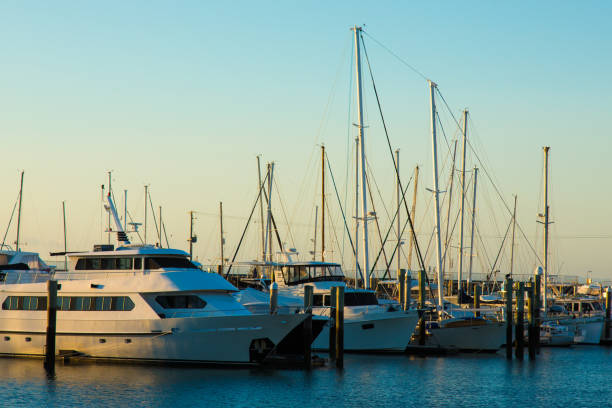 istock Australia. Hervey Bay, QLD 1191851028